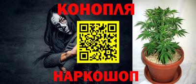 бошки Пыть-Ях