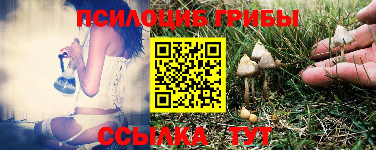 Галлюциногенные грибы мухоморы Ржев